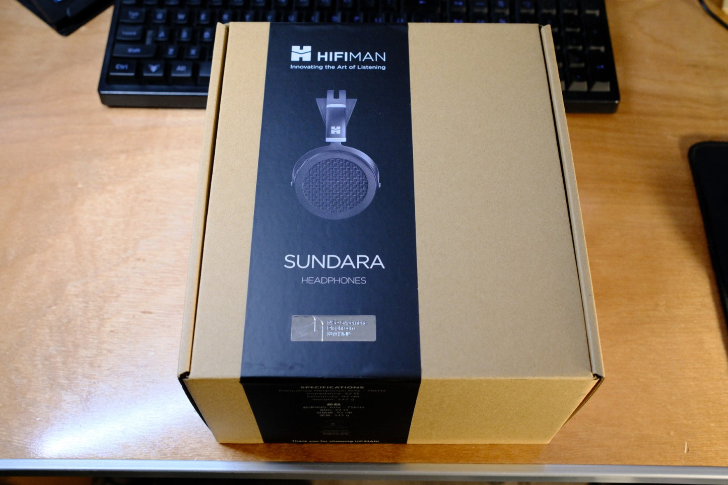 HIFIMAN SUNDARA Planar Magnetic Headphones
