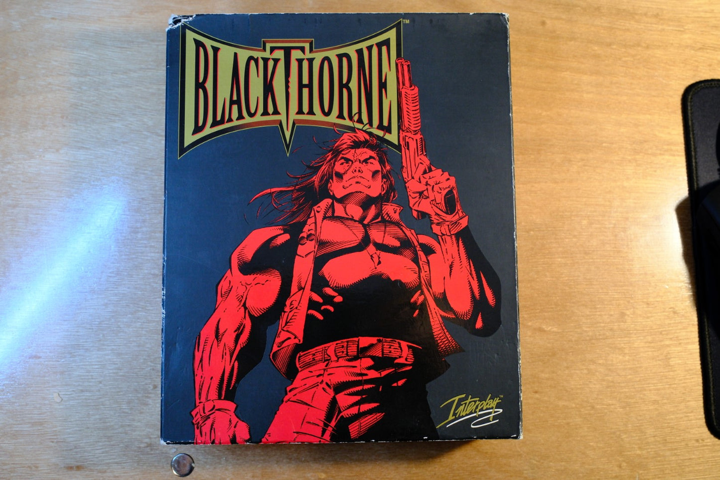 Blackthorne - 1994 Big Box PC Game - CIB (box dammaged slightly)