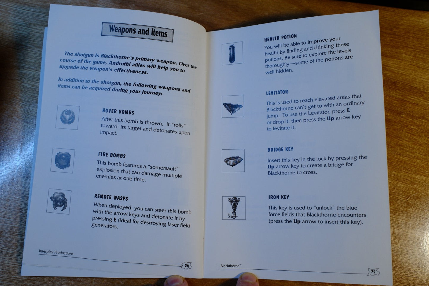 Blackthorne - 1994 Big Box PC Game - CIB (box dammaged slightly)