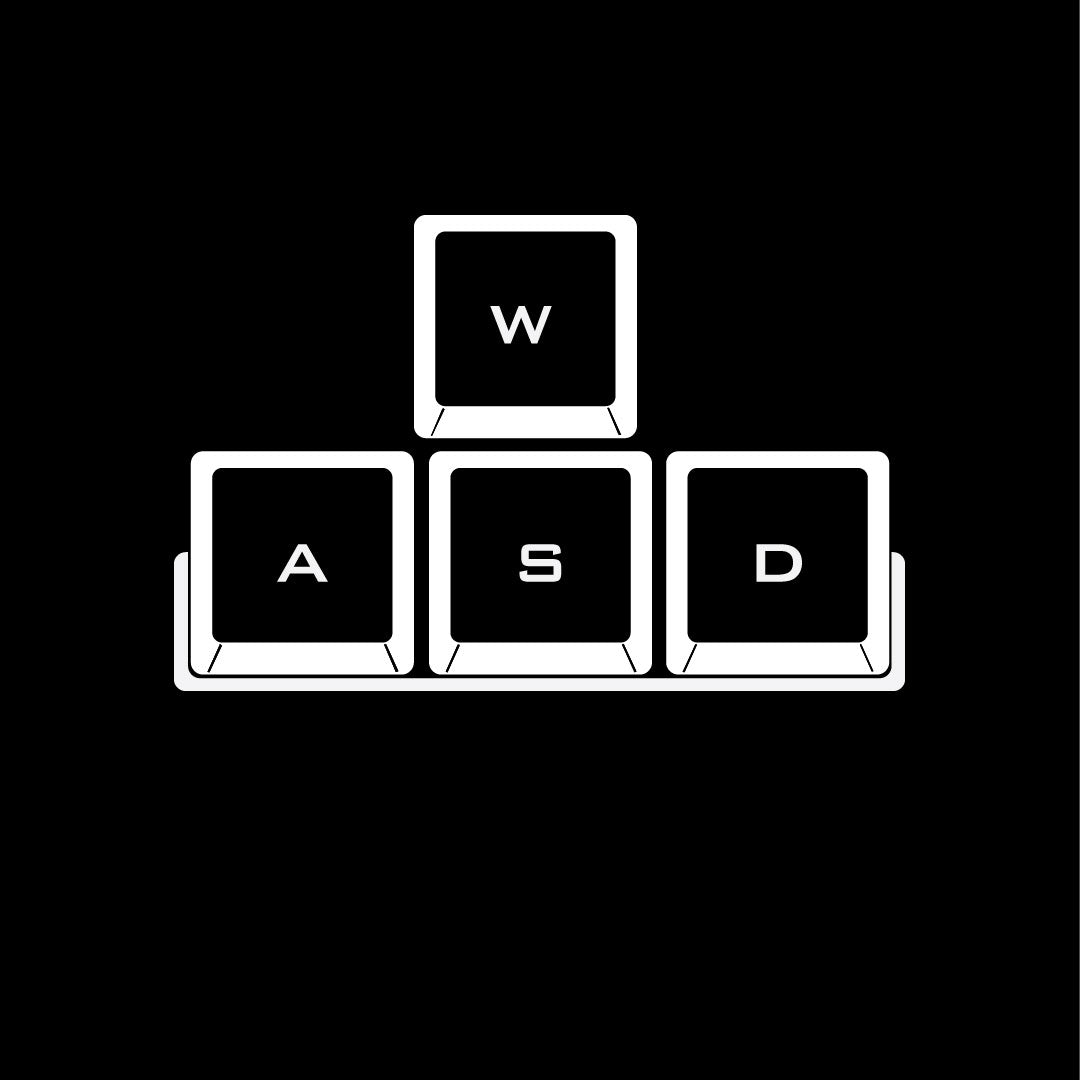 WASD T-Shirt